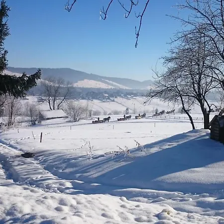 Majerczykówka 29a * Poronin