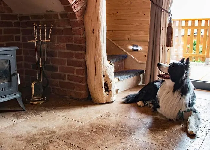 בקתה Majerczykowka 29a *