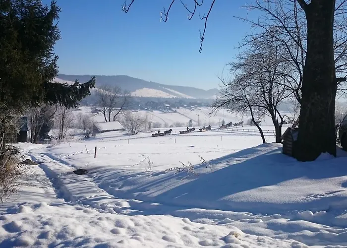 Majerczykowka 29a * פורונין